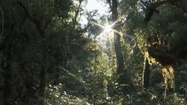 部隊穿越哀牢山現(xiàn)場實拍，一線部隊行進(jìn)畫面曝光