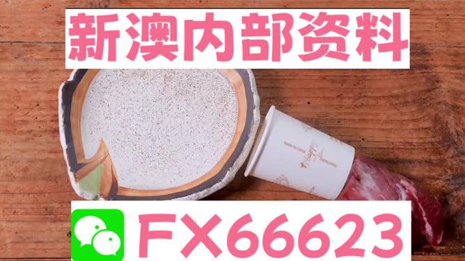 香港新澳精準(zhǔn)資料免費(fèi)提供，動(dòng)態(tài)詞語解釋落實(shí)_The87.78.77