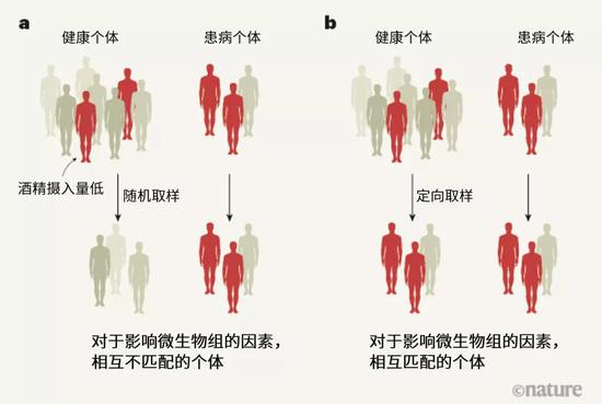 探索人體奧秘的新領(lǐng)域，最新窩窩人體研究揭秘人體奧秘