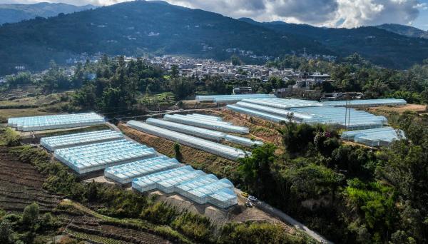 鳳慶縣概覽，最新消息與概述