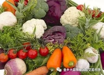 秋季蔬菜盛宴，豐富多樣且供應充足的原因分析