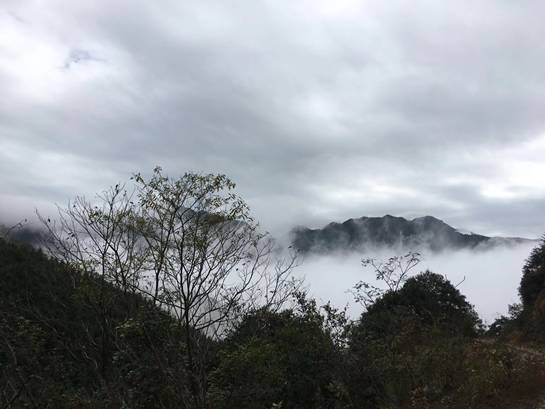 探索自然美景之旅，尋找內(nèi)心的平和與寧靜——Lu福利之旅的驚喜等待您！