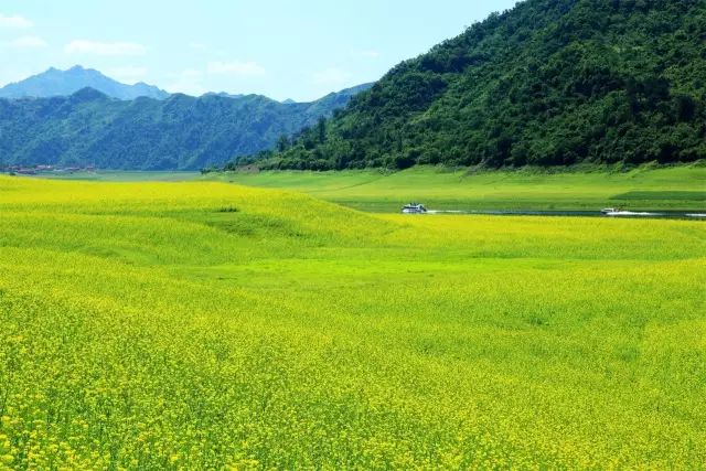 嘉澤新能引領綠色之旅，探尋自然美景，心靈之旅啟程，最新投資動態(tài)揭曉！