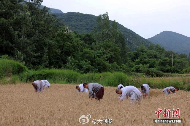 種麥啟程，探尋變化之力與人生豐收季的收獲之道