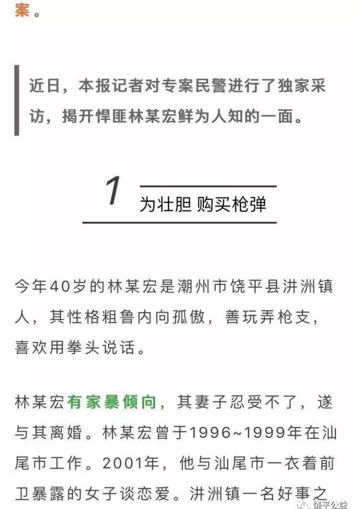 饒平槍擊案最新進展解析，案件全貌揭秘與應對方式探討（最新情況更新）