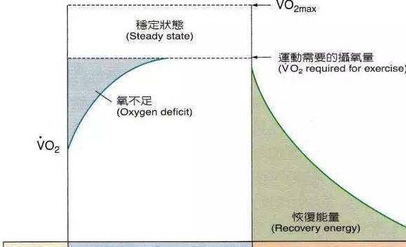 最新生理周期解析，洞悉健康奧秘，掌握生理日歷的規(guī)律