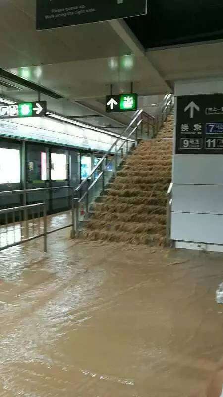 深圳暴雨預(yù)警下的隱秘小巷美食探秘，暴雨預(yù)警中的美食奇遇