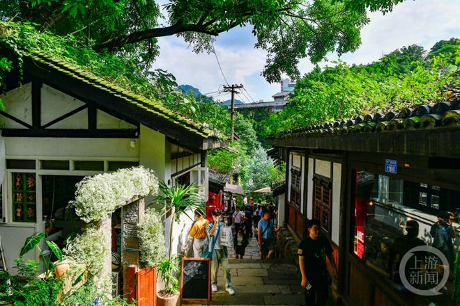 合肥小巷深處的幼教新星，隱藏版幼兒園探秘與新增園所揭秘