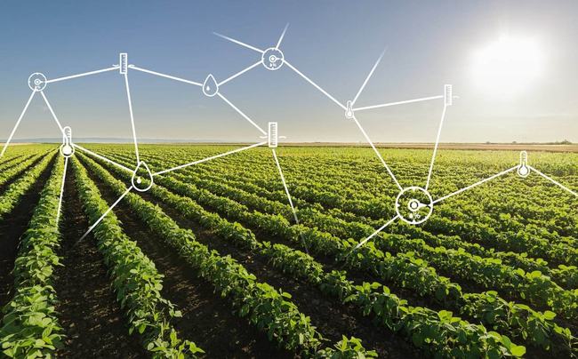 11月3日智慧農(nóng)業(yè)最新技術深度探討及其影響研究綜述