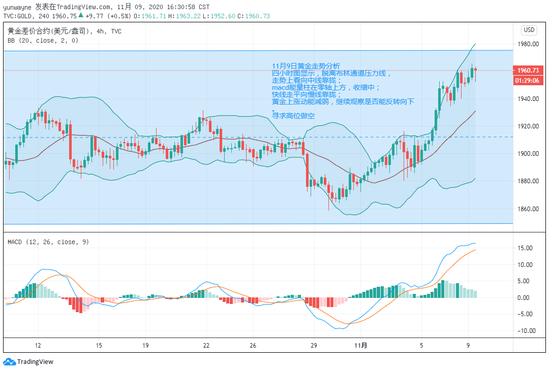 花開(kāi)無(wú)言 第141頁(yè)