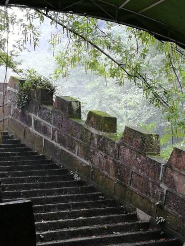 淮樹下的隱藏寶藏揭秘，小巷深處的獨特小店新發(fā)現(xiàn)（最新消息）