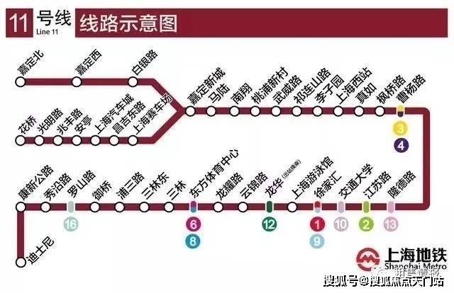 11月4日我要這樣生活最新，全面評(píng)測(cè)與介紹