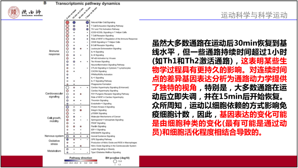 2024澳新全面資料匯編：前沿解讀與定義精選_YGZ985.8適中版