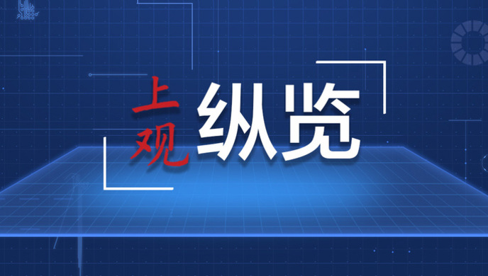 澳門(mén)精準(zhǔn)資料免費(fèi)共享，安全解讀技巧_模擬版QXA106.56