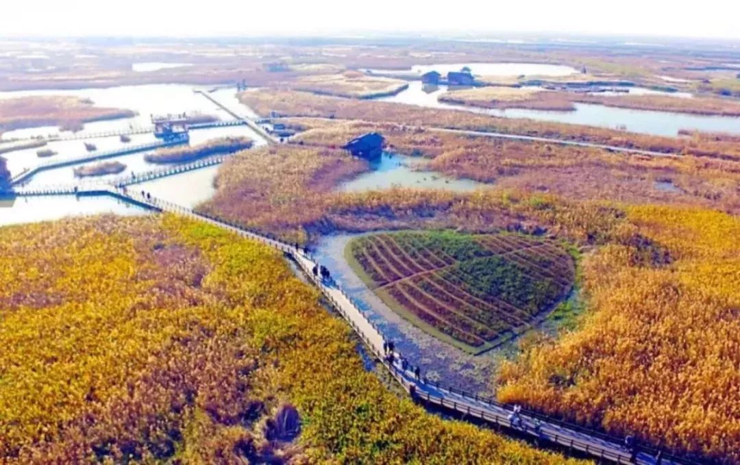 揭秘管灣濕地公園十一月新動態(tài)，生態(tài)進(jìn)展、休閑體驗與科普新知最新情況解析