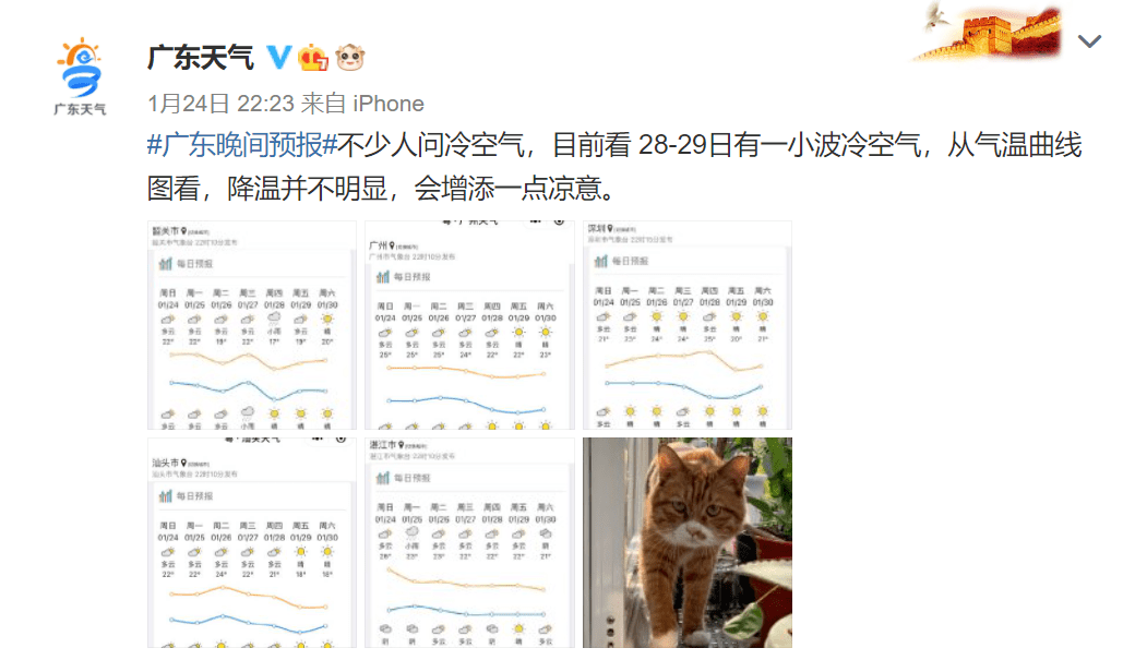 秋日暖陽下的溫馨日常與友情的陪伴（11月最新更新）