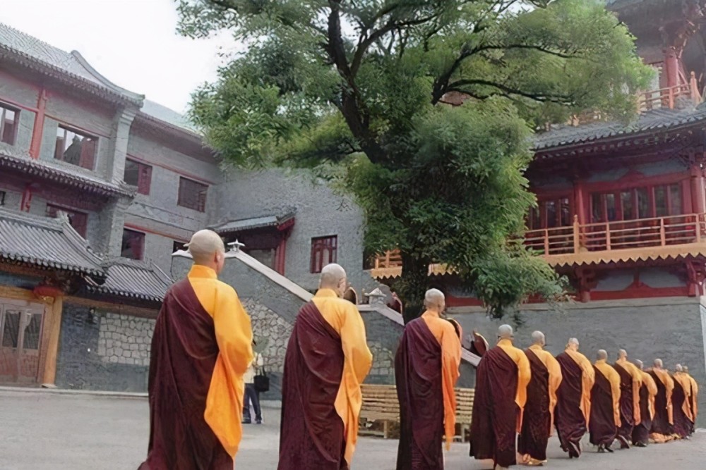 執(zhí)念師3最新消息揭秘，神秘特色小店探秘之旅