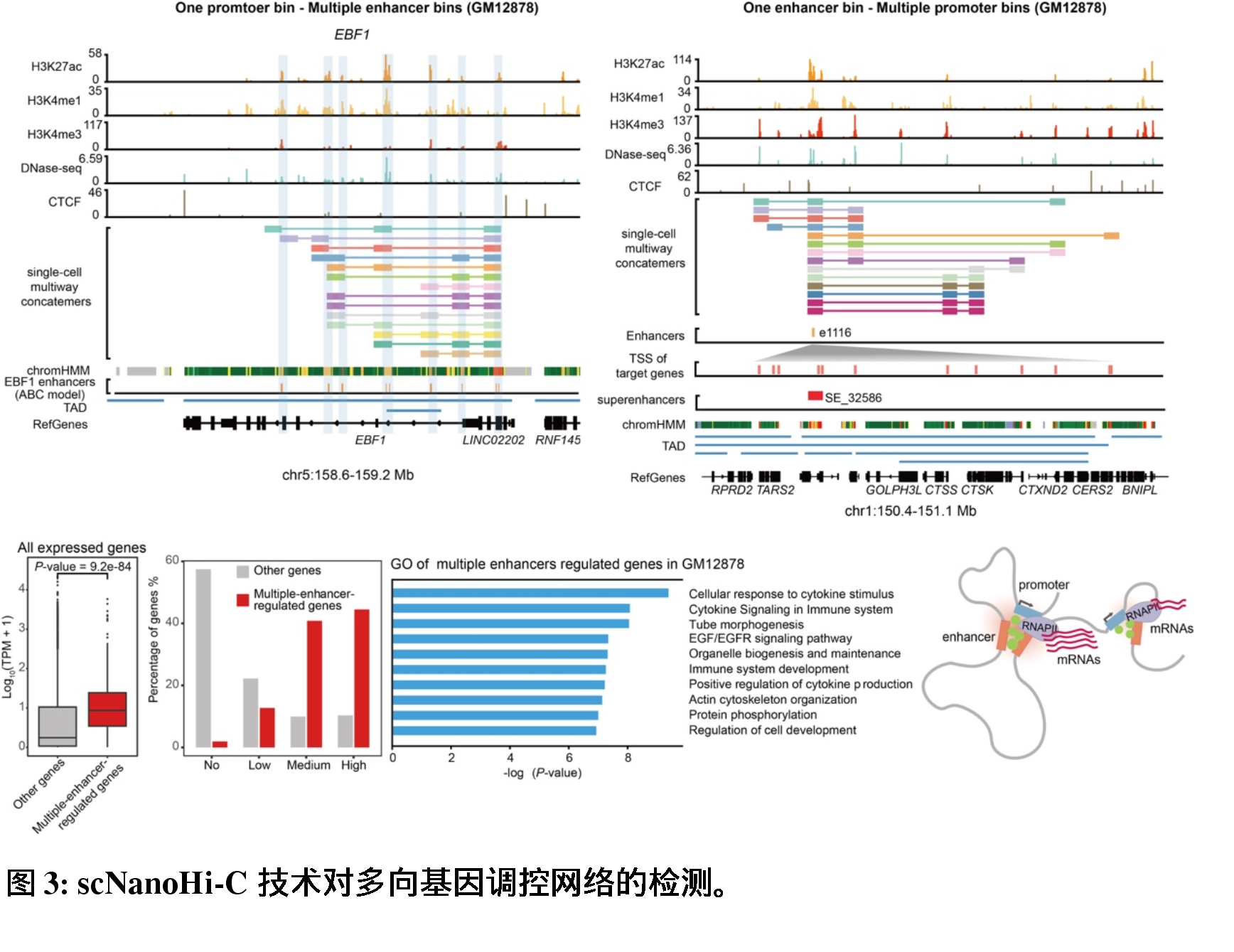 澳門彩資料，YLP62.848時尚版數(shù)據(jù)驅(qū)動設(shè)計法