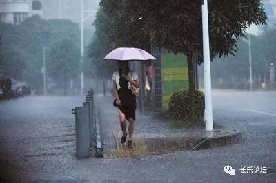 四川成都暴雨下的心靈之旅，暴雨洗禮的秘境探尋