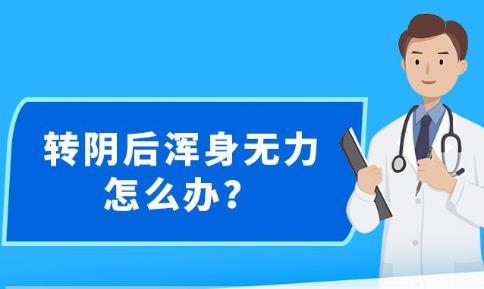 新澳精準資料免費提供網(wǎng)站有哪些,高效執(zhí)行方案_GUX72.318公積板