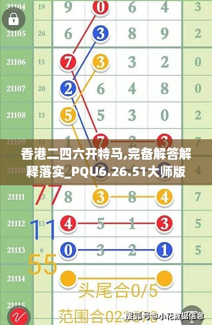 香港二四六開特馬,完備解答解釋落實_PQU6.26.51大師版