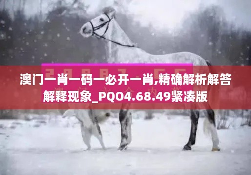 澳門一肖一碼一必開一肖,精確解析解答解釋現(xiàn)象_PQO4.68.49緊湊版