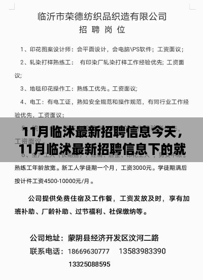 11月臨沭最新招聘信息匯總，就業(yè)市場觀察與個人選擇