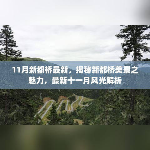 揭秘新都橋十一月美景之魅力，最新風(fēng)光解析