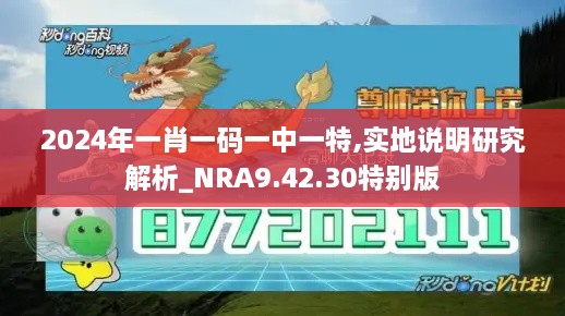 2024年一肖一碼一中一特,實(shí)地說明研究解析_NRA9.42.30特別版