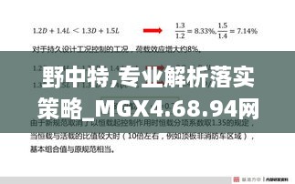 野中特,專業(yè)解析落實策略_MGX4.68.94網絡版