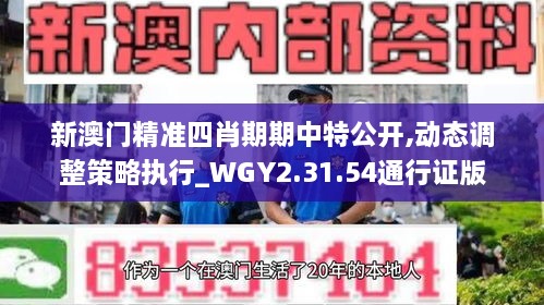 新澳門精準四肖期期中特公開,動態(tài)調(diào)整策略執(zhí)行_WGY2.31.54通行證版