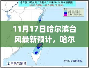 哈爾濱臺風小插曲，溫馨日常與最新預計報告