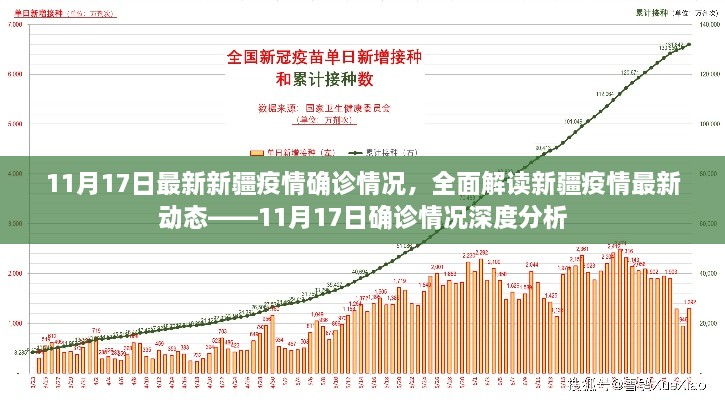 新疆疫情最新動態(tài)深度解讀，11月17日確診情況分析