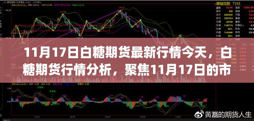 白糖期貨行情分析，聚焦市場動態(tài)與未來展望（最新行情報道，日期，11月17日）