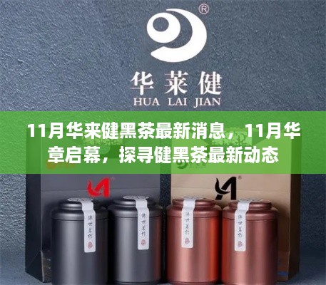 探尋健黑茶最新動(dòng)態(tài)，華章啟幕，華來(lái)健黑茶最新消息揭秘