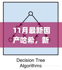 新哈希算法下的暖心日常，友情、家庭與愛的紐帶（11月最新國產(chǎn)哈希分享）