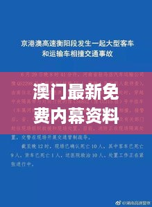 澳門最新免費內(nèi)幕資料，11月19日深度解析與解答方案_SVP8.12.34標準版