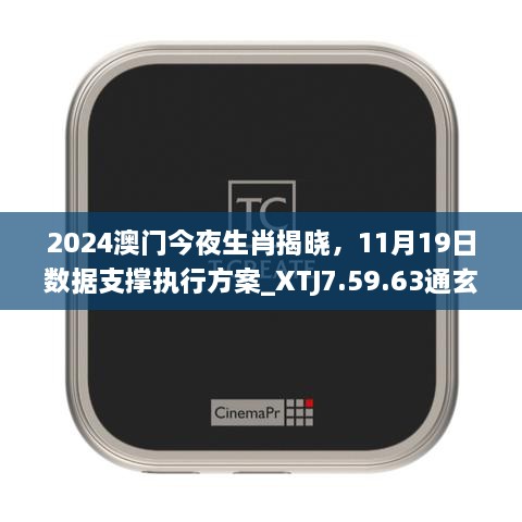 2024澳門今夜生肖揭曉，11月19日數(shù)據(jù)支撐執(zhí)行方案_XTJ7.59.63通玄境