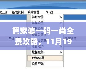 管家婆一碼一肖全景攻略，11月19日實(shí)地計(jì)劃設(shè)計(jì)驗(yàn)證_JSA8.44.26理想版