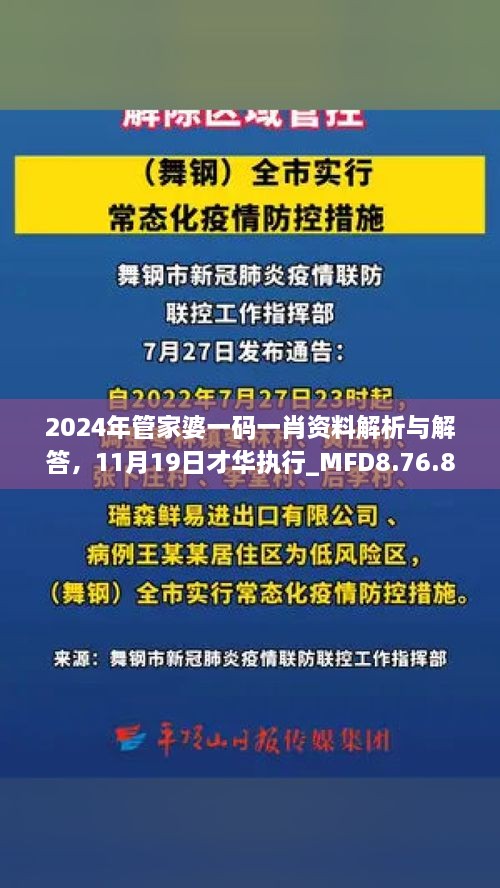 2024年管家婆一碼一肖資料解析與解答，11月19日才華執(zhí)行_MFD8.76.81加速版