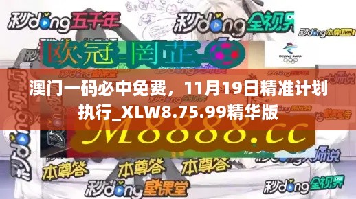 澳門一碼必中免費，11月19日精準計劃執(zhí)行_XLW8.75.99精華版