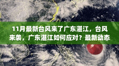 廣東湛江應(yīng)對最新臺風(fēng)來襲，動態(tài)解析與應(yīng)對策略