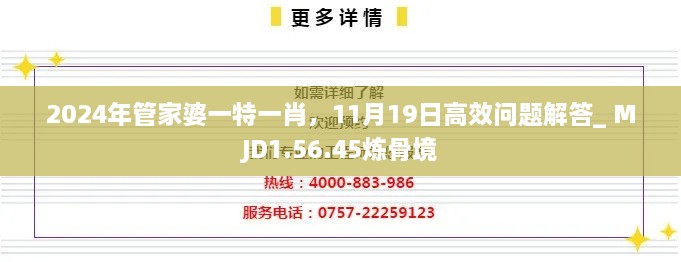 2024年管家婆一特一肖，11月19日高效問題解答_ MJD1.56.45煉骨境