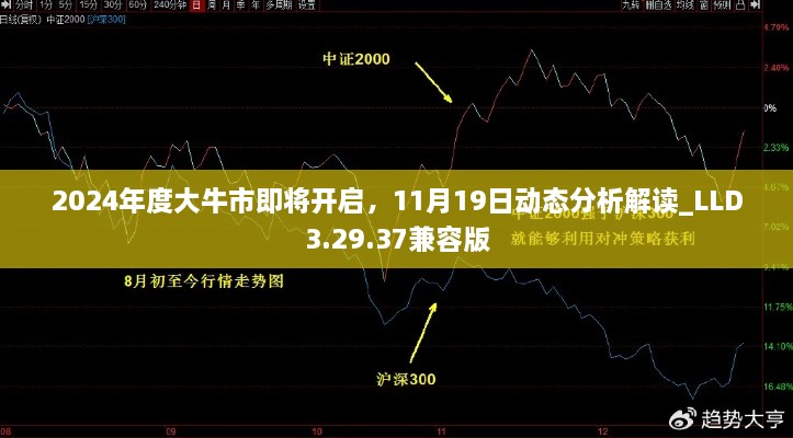 2024年度大牛市即將開啟，11月19日動態(tài)分析解讀_LLD3.29.37兼容版