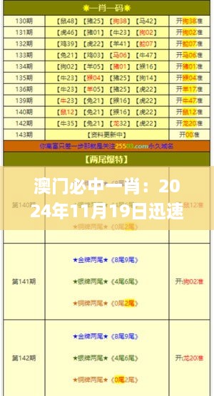 澳門必中一肖：2024年11月19日迅速實施調(diào)整方案_KEC8.65.56未來科技版