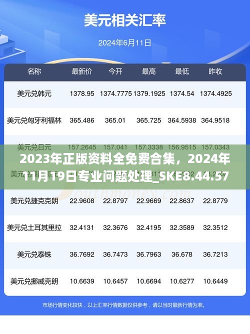 2023年正版資料全免費(fèi)合集，2024年11月19日專(zhuān)業(yè)問(wèn)題處理_SKE8.44.57定制版