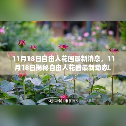 揭秘自由人花園最新動(dòng)態(tài)，最新消息一覽（11月18日）