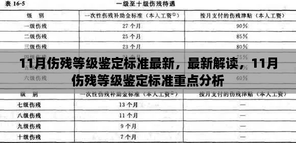 最新解讀與重點分析，11月傷殘等級鑒定標準詳解