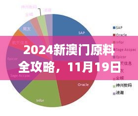 2024新澳門原料全攻略，11月19日專職解析實施_LXC6.23.35L版