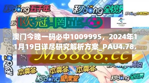 澳門(mén)今晚一碼必中1009995，2024年11月19日詳盡研究解析方案_PAU4.78.58文化傳承版